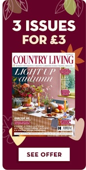 Country Living 3 for £3