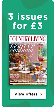 Country Living 3 for £3