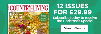 Country Living 12 Issues for £29.99 Country Living 12 Issues for £29.99