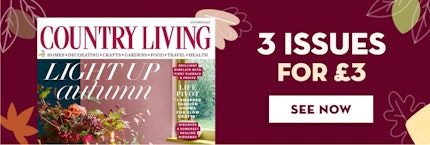 Country Living 3 issues for £3