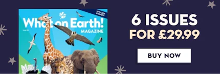What on Earth 6 issues for £29.99